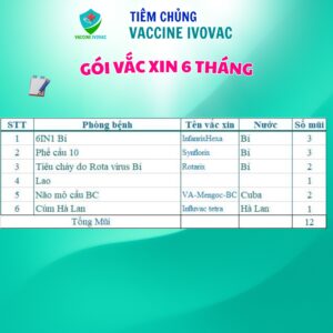 Gói vắc xin 6 tháng