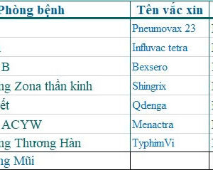 Gói người cao tuổi cao cấp